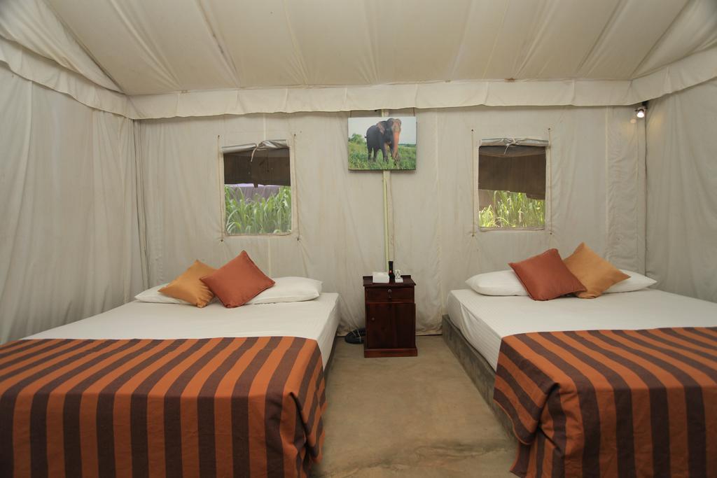 Hotel Wild Trails Udawalawe Exteriér fotografie